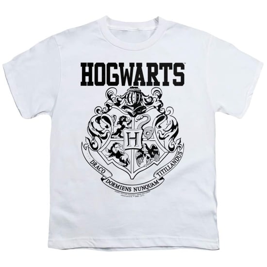 Harry Potter - T-Shirt für Kinder, Athletisch (Weiß) - Image 1