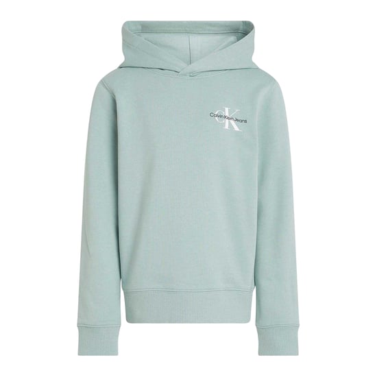 Calvin Klein - Hoodie zum Überziehen für Kinder, Baumwolle (Grün) - Image 2