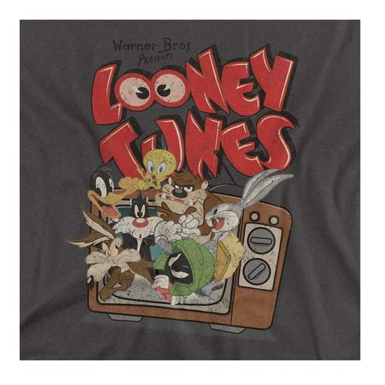 Looney Tunes - "Saturday Mornings" T-Shirt für Herren/Damen Unisex, meliert (Holzkohle) - Image 3