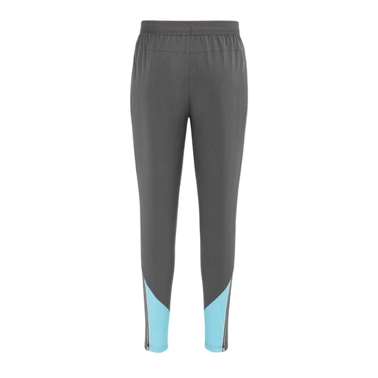 Everlast - Hosen für Herren (Grau) - Image 2