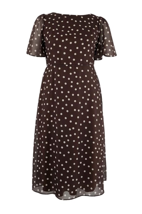 Trendyol Curve Damen Braun Animal-Print Midi Kurz Casual A-Linie Große Größen Kleid - Image 1