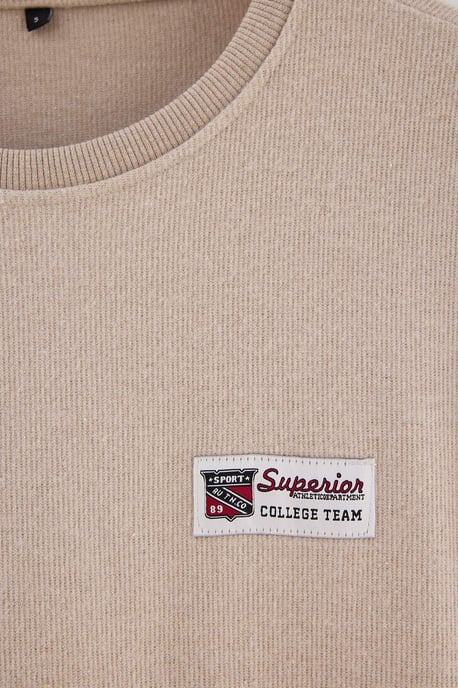 TRENDYOL MAN Herren Grau Slogan Lang Oversize Sweatshirts - Image 4