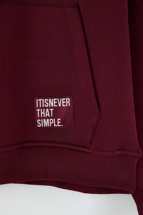 TRENDYOL MAN Herren Bordeaux Einfarbig Lang Oversize Sweatshirts - Image 5