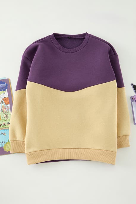 TRENDYOLKIDS Jungen Lila Colour-Block Lang Regular Fit Sweatshirts - Image 1