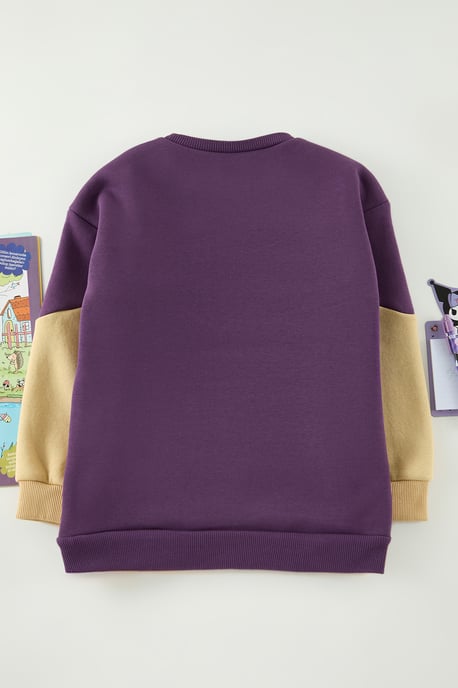 TRENDYOLKIDS Jungen Lila Colour-Block Lang Regular Fit Sweatshirts - Image 2