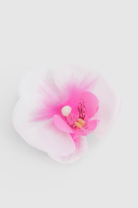 Boohoo Orchideenblüte einzelne Haarspange - Image 2