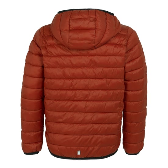 Regatta - "Marizion" Steppjacke mit Kapuze für Kinder (Rooibos Tee/Schwarz) - Image 3