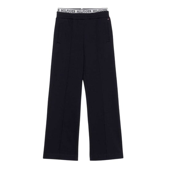 Tommy Hilfiger - Trainingshose für Kinder (Himmelblau) - Image 2