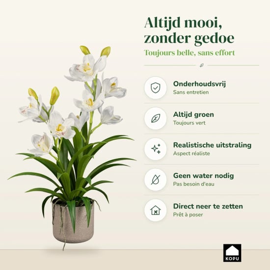 Kopu ® künstliche Orchidee 58 cm – im grauen Melamintopf Cymbidium - Image 5
