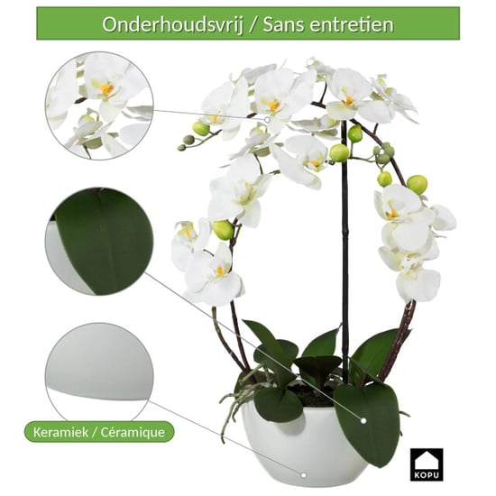 Kopu ® künstliche Orchidee 52 cm – in Keramiktopf Phalaenopsis - Image 2