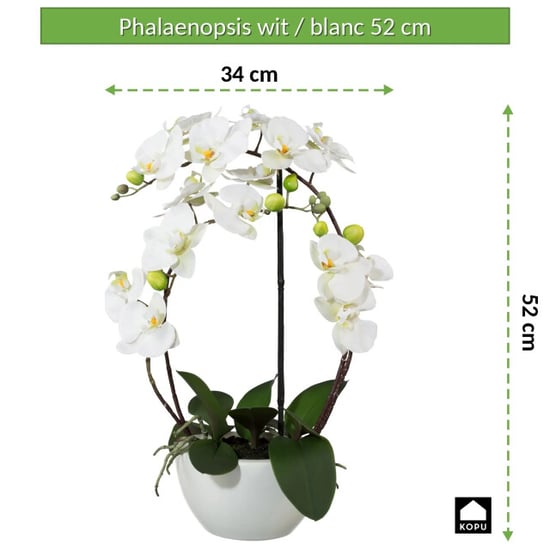 Kopu ® künstliche Orchidee 52 cm – in Keramiktopf Phalaenopsis - Image 3