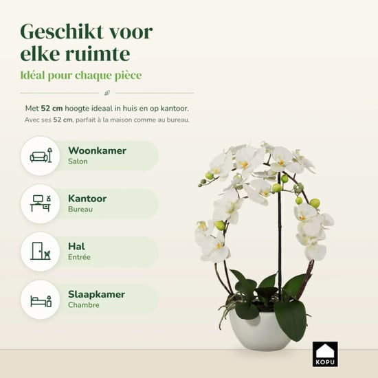 Kopu ® künstliche Orchidee 52 cm – in Keramiktopf Phalaenopsis - Image 4