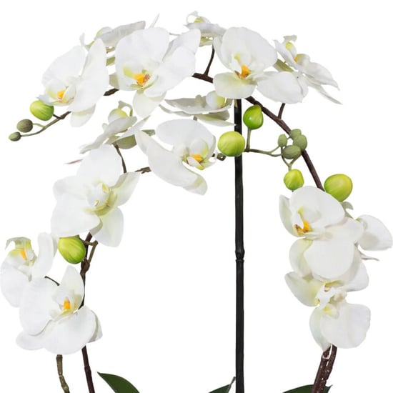 Kopu ® künstliche Orchidee 52 cm – in Keramiktopf Phalaenopsis - Image 5