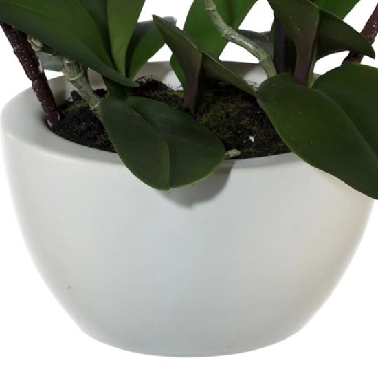 Kopu ® künstliche Orchidee 52 cm – weißer Keramiktopf Phalaenopsis - Image 2