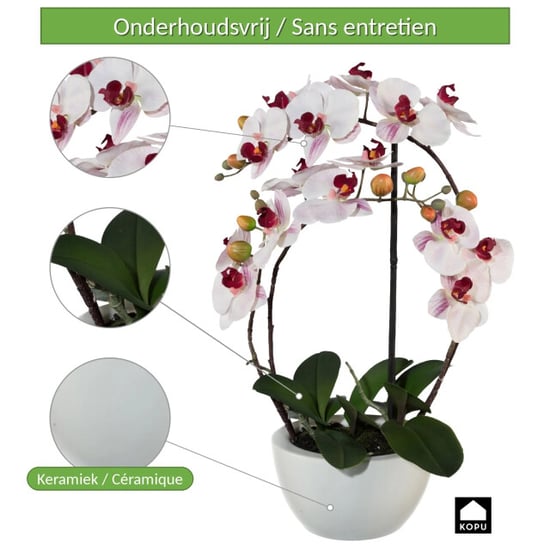 Kopu ® künstliche Orchidee 52 cm – weißer Keramiktopf Phalaenopsis - Image 3