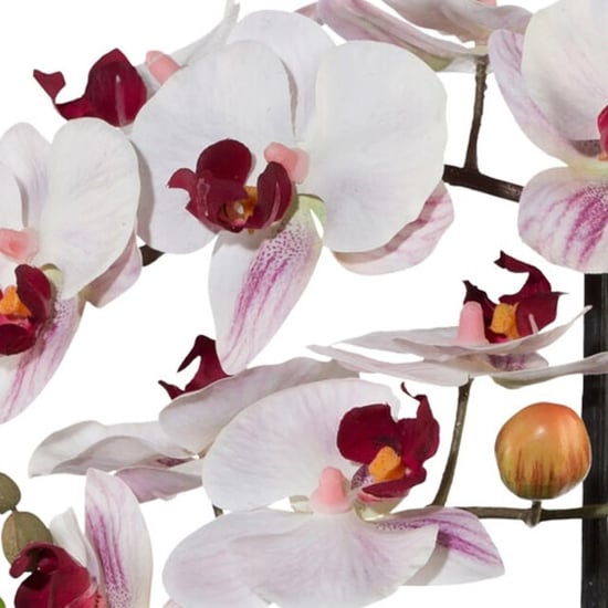 Kopu ® künstliche Orchidee 52 cm – weißer Keramiktopf Phalaenopsis - Image 4