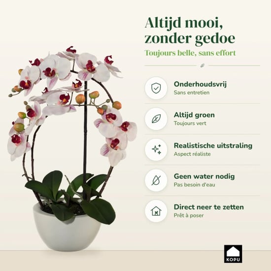 Kopu ® künstliche Orchidee 52 cm – weißer Keramiktopf Phalaenopsis - Image 5