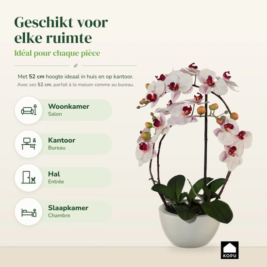 Kopu ® künstliche Orchidee 52 cm – weißer Keramiktopf Phalaenopsis - Image 6