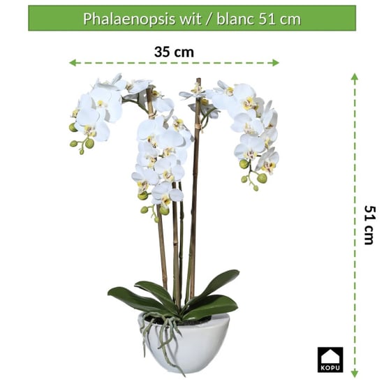 Kopu ® künstliche Orchidee 51 cm – in Schale Phalaenopsis - Image 2
