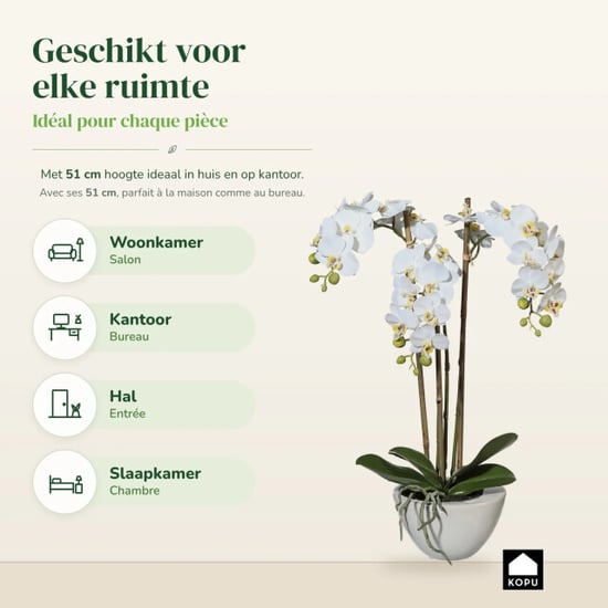Kopu ® künstliche Orchidee 51 cm – in Schale Phalaenopsis - Image 4