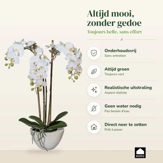 Kopu ® künstliche Orchidee 51 cm – in Schale Phalaenopsis - Image 5