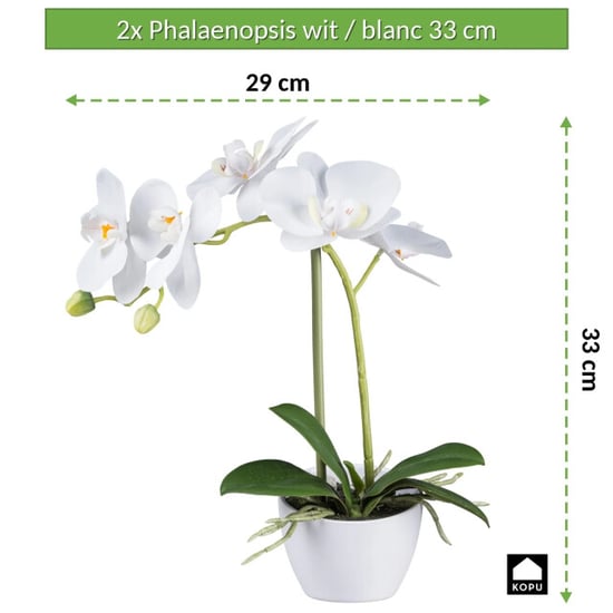 Kopu ® künstliche Orchidee 33 cm 2er-Set – eingetopfte Phalaenopsis - Image 2