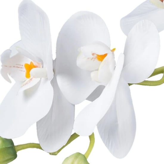 Kopu ® künstliche Orchidee 33 cm 2er-Set – eingetopfte Phalaenopsis - Image 3