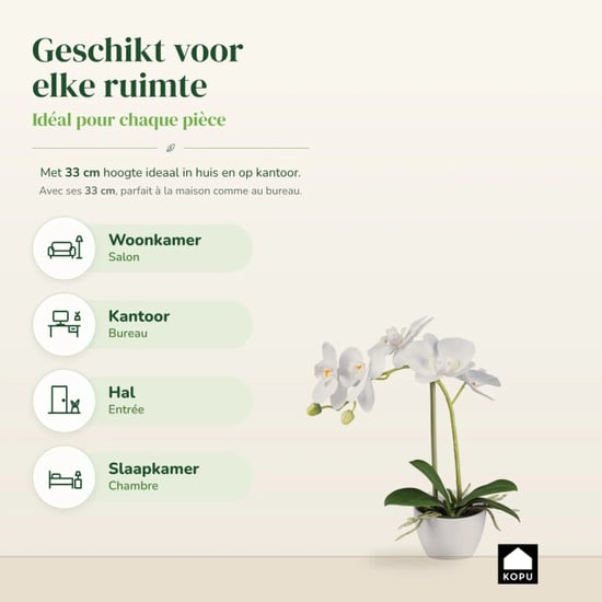Kopu ® künstliche Orchidee 33 cm 2er-Set – eingetopfte Phalaenopsis - Image 4