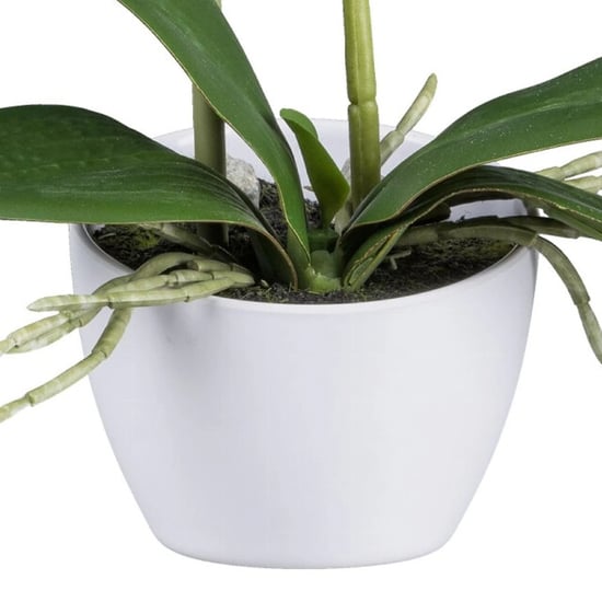 Kopu ® künstliche Orchidee 33 cm 2er-Set – eingetopfte Phalaenopsis - Image 5