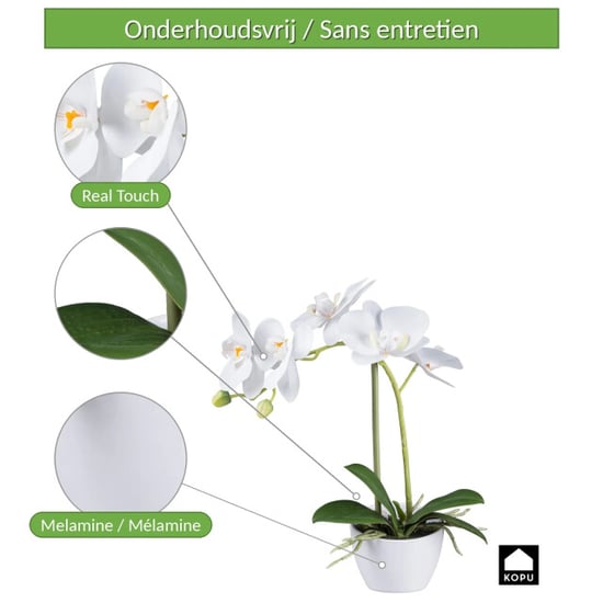 Kopu ® künstliche Orchidee 33 cm 2er-Set – eingetopfte Phalaenopsis - Image 6