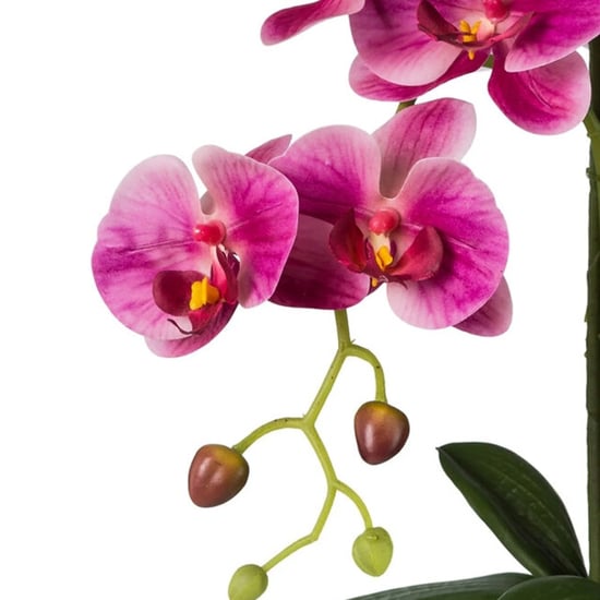 Kopu ® künstliche Orchidee 52 cm – weißer Topf Phalaenopsis - Image 2