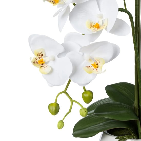 Kopu ® Kunstorchidee 52 cm – in keramischem Topf Phalaenopsis - Image 2