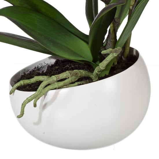 Kopu ® künstliche Orchidee 42 cm – in Schale, Phalaenopsis - Image 2
