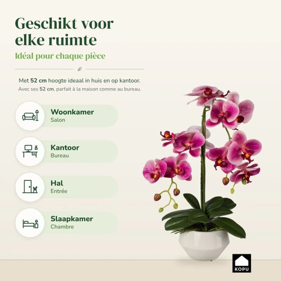 Kopu ® künstliche Orchidee 52 cm – weißer Topf Phalaenopsis - Image 3