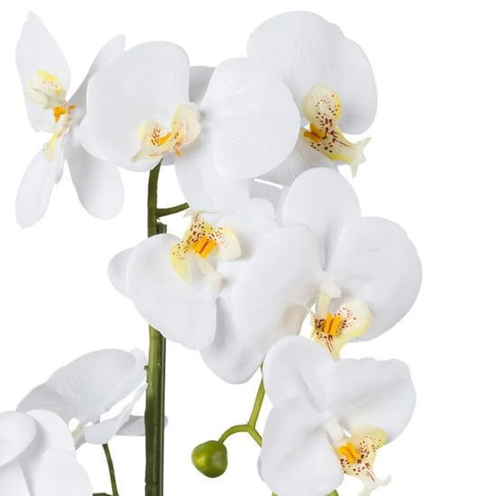 Kopu ® Kunstorchidee 52 cm – in keramischem Topf Phalaenopsis - Image 3