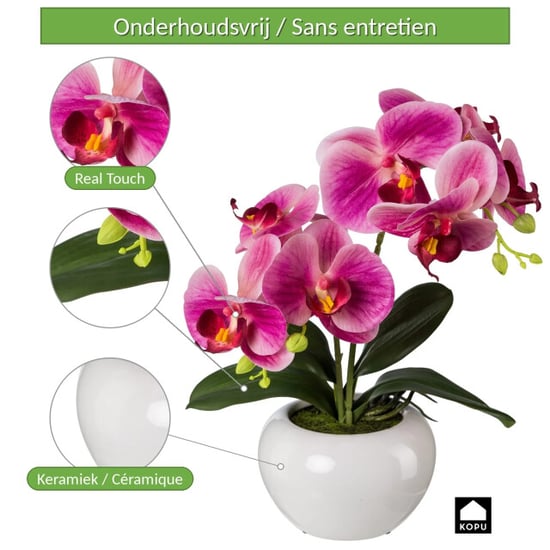 Kopu ® künstliche Orchidee 35 cm – weißer Topf Phalaenopsis - Image 4