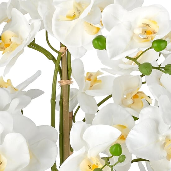 Kopu ® künstliche Orchidee 80 cm - schwarze Schale Phalaenopsis - Image 2