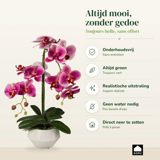 Kopu ® künstliche Orchidee 52 cm – weißer Topf Phalaenopsis - Image 4