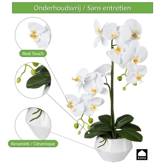 Kopu ® Kunstorchidee 52 cm – in keramischem Topf Phalaenopsis - Image 4