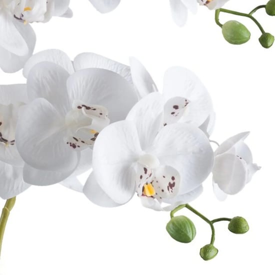 Kopu ® Kunstorchidee 70 cm – 5 Zweige schwarzer Topf Phalaenopsis - Image 2