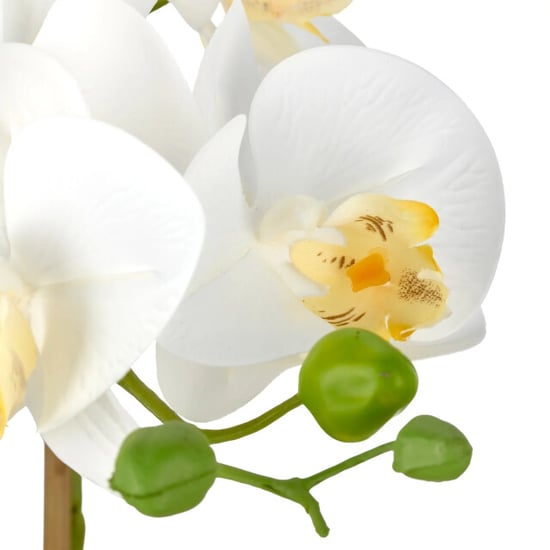 Kopu ® künstliche Orchidee 65 cm – Phalaenopsis im cremefarbenen Topf - Image 2