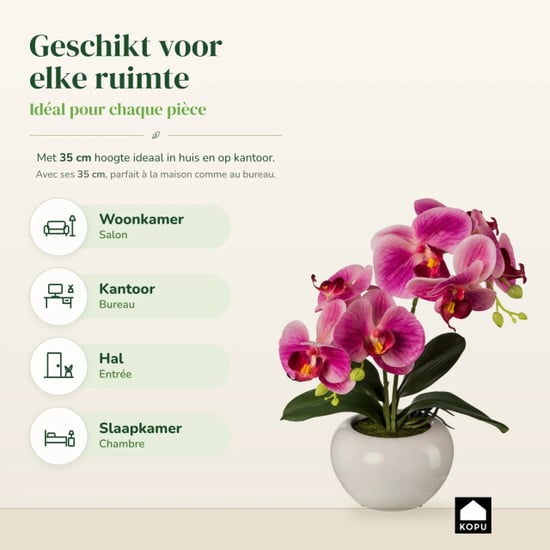 Kopu ® künstliche Orchidee 35 cm – weißer Topf Phalaenopsis - Image 5