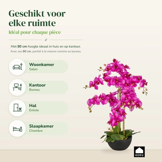 Kopu ® künstliche Orchidee 80 cm – schwarze Schale Phalaenopsis - Image 2