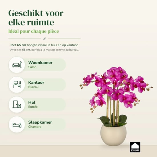 Kopu ® künstliche Orchidee 65 cm – Phalaenopsis im cremefarbenen Topf - Image 2