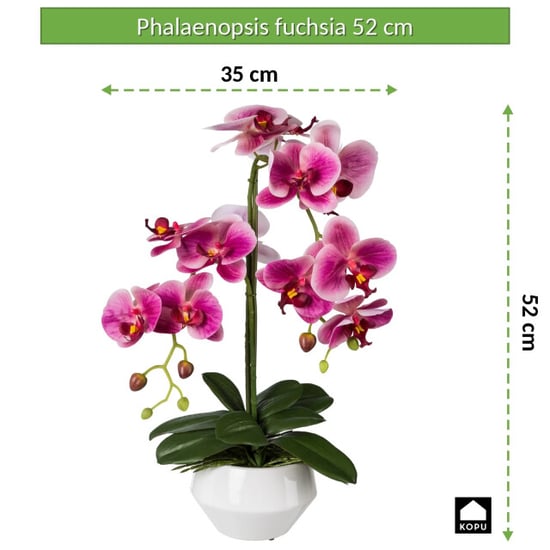 Kopu ® künstliche Orchidee 52 cm – weißer Topf Phalaenopsis - Image 5