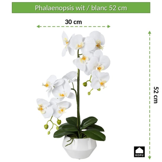 Kopu ® Kunstorchidee 52 cm – in keramischem Topf Phalaenopsis - Image 5