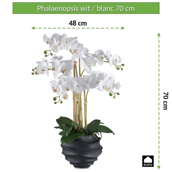 Kopu ® Kunstorchidee 70 cm – 5 Zweige schwarzer Topf Phalaenopsis - Image 3