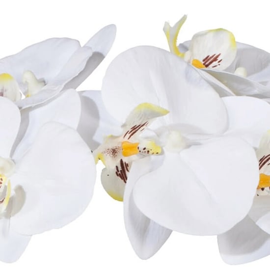 Kopu ® künstliche Orchidee 42 cm – in Schale, Phalaenopsis - Image 5