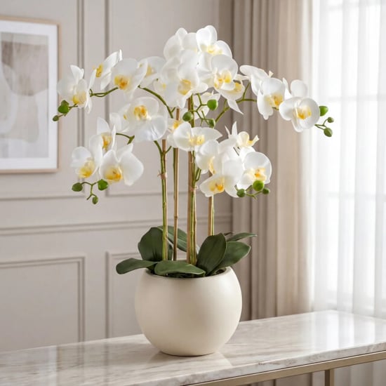 Kopu ® künstliche Orchidee 65 cm – Phalaenopsis im cremefarbenen Topf - Image 3