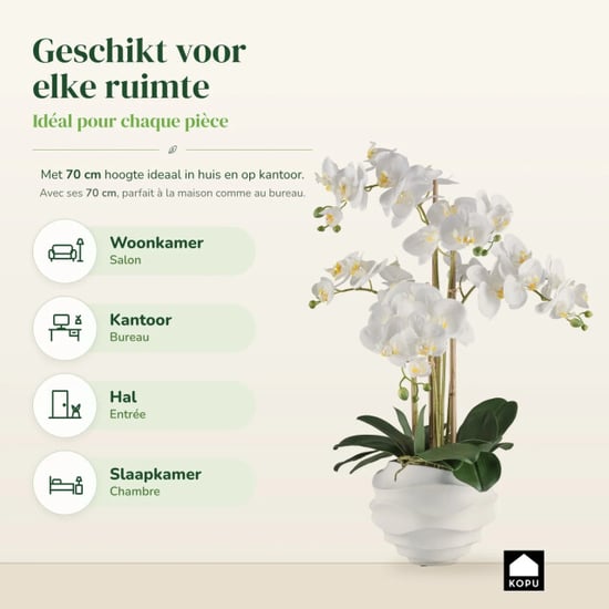 Kopu ® künstliche Orchidee 70 cm – 5 Zweige im Topf Phalaenopsis - Image 4